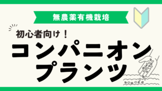 コンパニオンプランツの効果と一覧：おすすめ野菜の組み合わせを紹介！ 